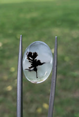 Dendritic Agate - 9.7ct