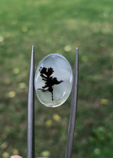 Dendritic Agate - 9.7ct