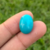 Turquoise - 11ct