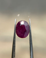 Kashmiri Ruby - 3.7ct