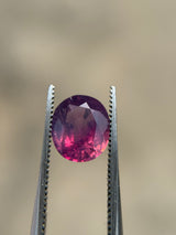 Bi-Color Kashmiri Sapphire - 2.3ct