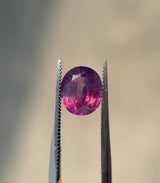 Bi-Color Kashmiri Sapphire - 2.3ct