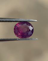 Bi-Color Kashmiri Sapphire - 2.3ct