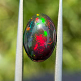 Fire Opal - 5.05ct