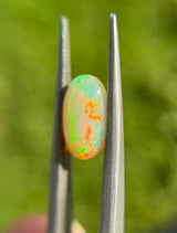 Fire Opal - 1.75ct