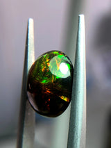 Fire Opal - 3.1ct