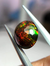 Fire Opal - 3.1ct