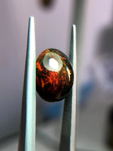 Fire Opal - 3.1ct