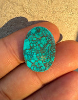 Spiderweb Turquoise 10.5ct