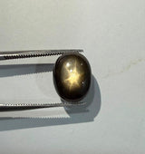 Golden Star Sapphire - 8.4ct