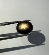 Golden Star Sapphire - 8.4ct