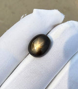 Golden Star Sapphire - 8.4ct