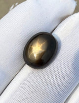 Golden Star Sapphire - 8.4ct
