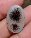 Dendritic Agate - 26ct